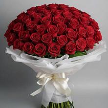 Букет 101 Красная роза Блэк Мэджик в Дубенцовской