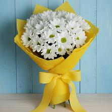 Букет цветов из:  Хризантемы в Дубенцовской
