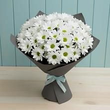 Букет цветов из:  Хризантемы #REPLACE_PRED# Дубенцовской