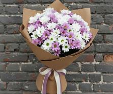 Букет цветов из:  Хризантемы #REPLACE_PRED# Дубенцовской