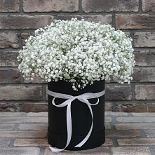 Цветочная композиция из Гипсофила в шляпной коробке #REPLACE_PRED# Дубенцовской
