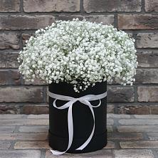 Цветочная композиция из Гипсофила в шляпной коробке в Дубенцовской